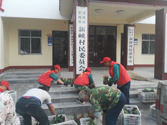 �ʻ�������Ͽ��  ���Ž�����˫��